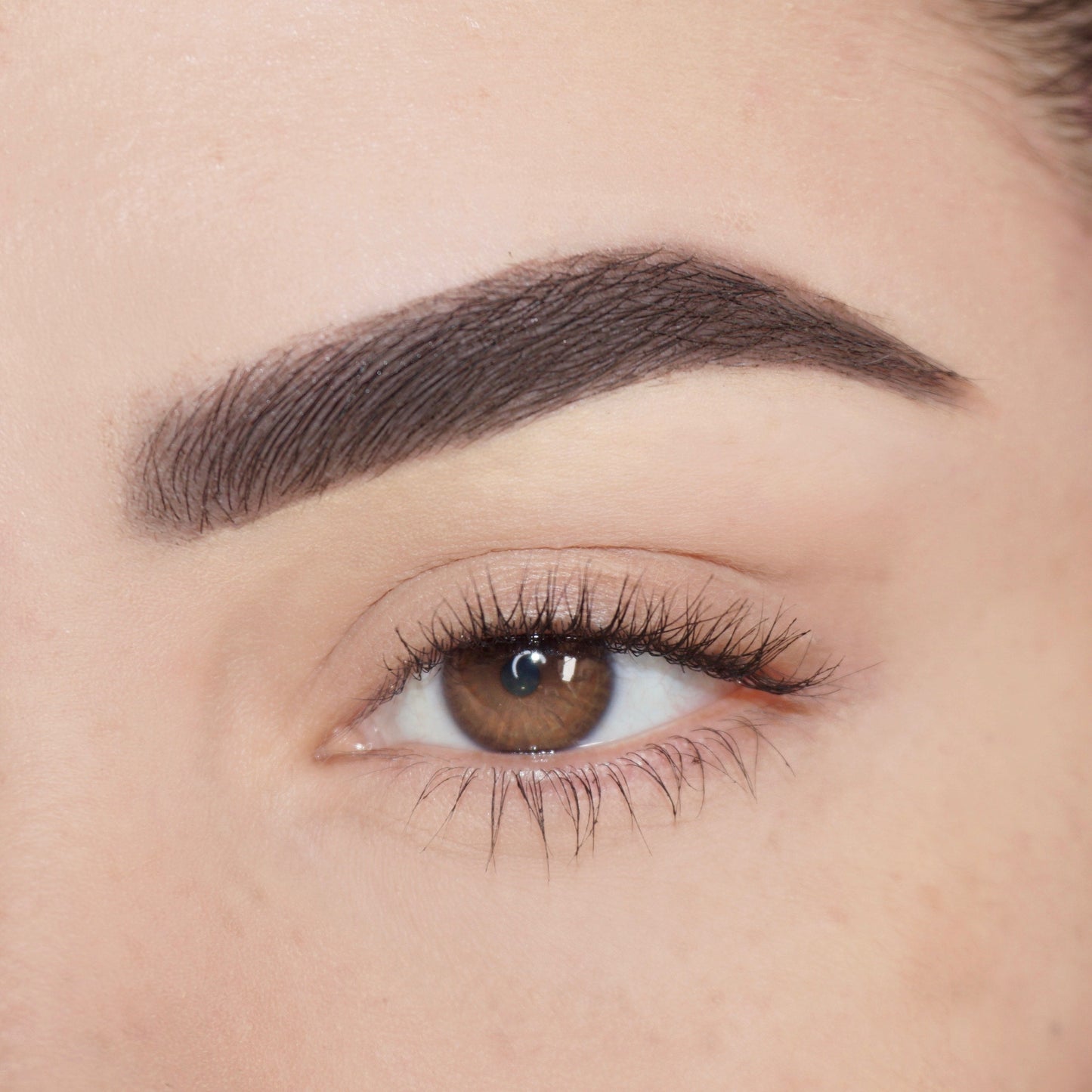 Brow'd Up Brow Pencil